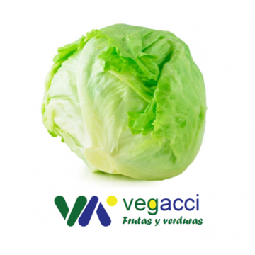 Lechuga Iceberg