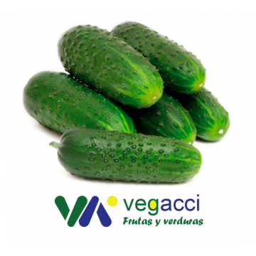 Pepino Corto