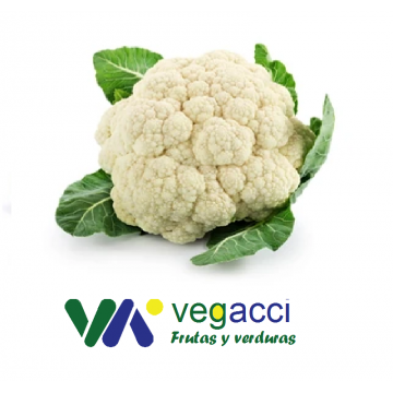 Coliflor