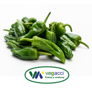 Pimiento Padrón