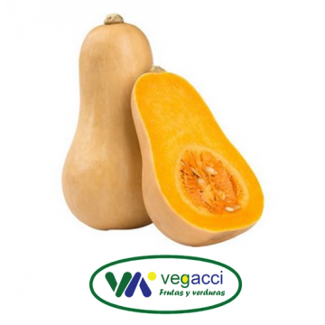 Calabaza Violín