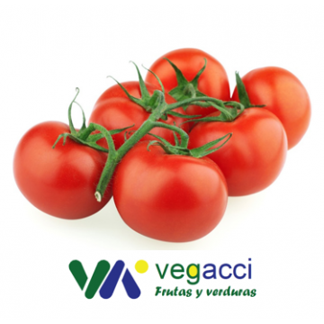 Tomate Rama