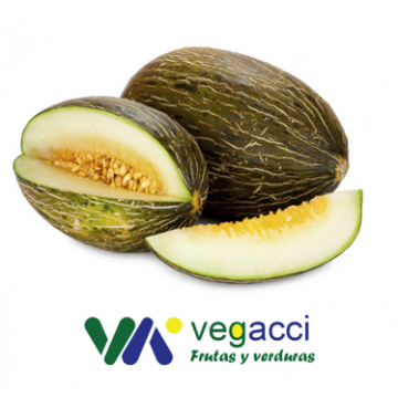 Melón Piel Sapo