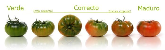 TOMATE RAF